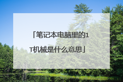 笔记本电脑里的1T机械是什么意思