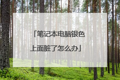 笔记本电脑银色上面脏了怎么办