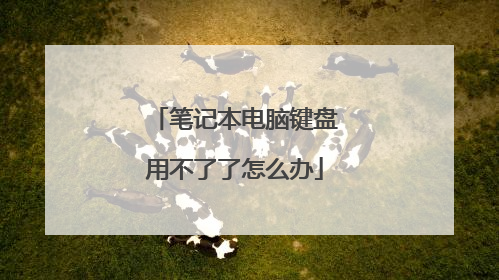 笔记本电脑键盘用不了了怎么办