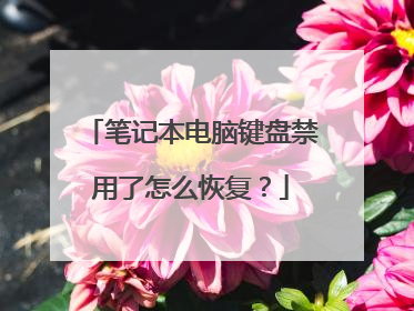 笔记本电脑键盘禁用了怎么恢复？