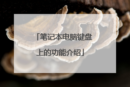 笔记本电脑键盘上的功能介绍