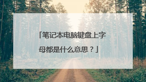 笔记本电脑键盘上字母都是什么意思?