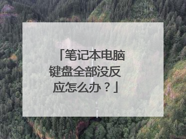 笔记本电脑键盘全部没反应怎么办？