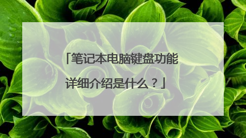 笔记本电脑键盘功能详细介绍是什么?