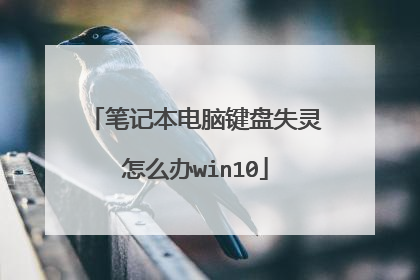 笔记本电脑键盘失灵怎么办win10
