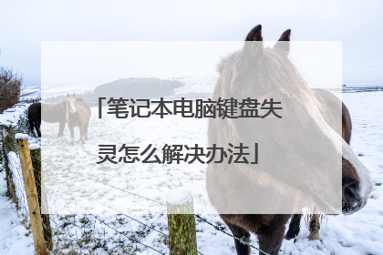 笔记本电脑键盘失灵怎么解决办法