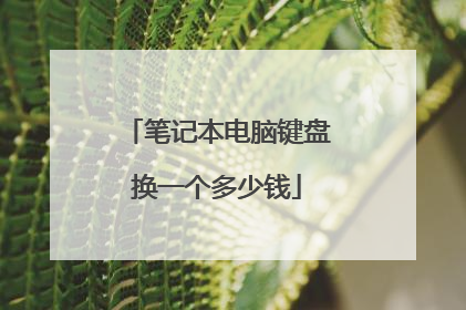 笔记本电脑键盘换一个多少钱