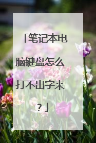 笔记本电脑键盘怎么打不出字来？
