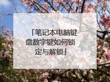 笔记本电脑键盘数字键如何锁定与解锁
