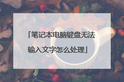 笔记本电脑键盘无法输入文字怎么处理