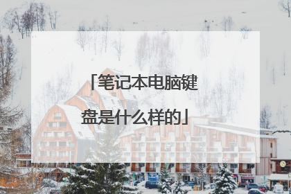 笔记本电脑键盘是什么样的