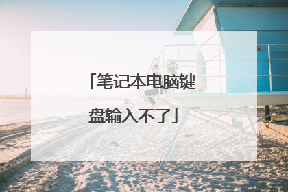 笔记本电脑键盘输入不了