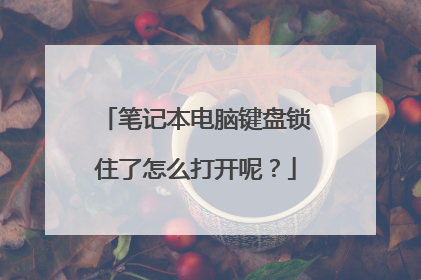 笔记本电脑键盘锁住了怎么打开呢?