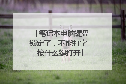 笔记本电脑键盘锁定了，不能打字 按什么键打开