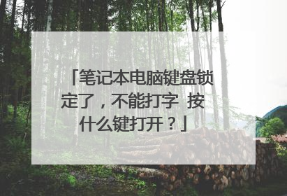 笔记本电脑键盘锁定了，不能打字 按什么键打开？
