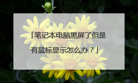 笔记本电脑黑屏了但是有鼠标显示怎么办?