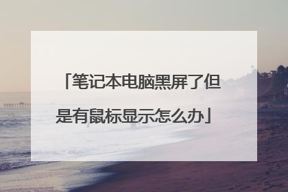 笔记本电脑黑屏了但是有鼠标显示怎么办