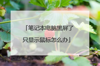 笔记本电脑黑屏了只显示鼠标怎么办