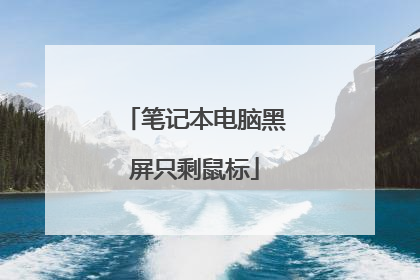 笔记本电脑黑屏只剩鼠标