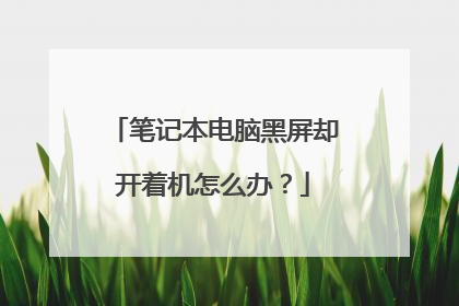 笔记本电脑黑屏却开着机怎么办？