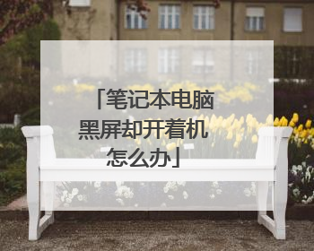 笔记本电脑黑屏却开着机怎么办