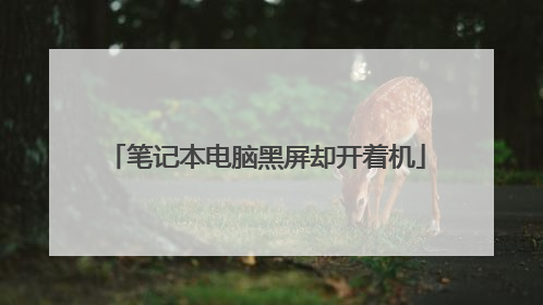 笔记本电脑黑屏却开着机