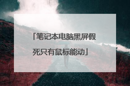 笔记本电脑黑屏假死只有鼠标能动