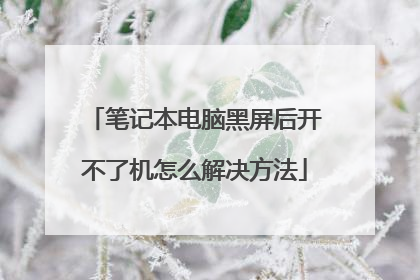 笔记本电脑黑屏后开不了机怎么解决方法
