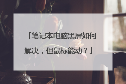 笔记本电脑黑屏如何解决，但鼠标能动？