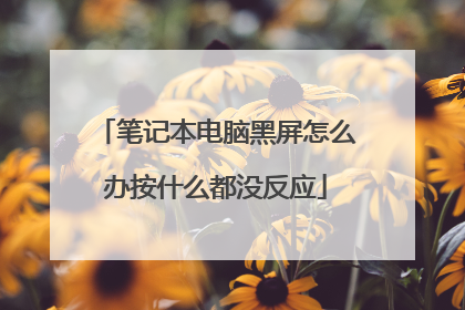 笔记本电脑黑屏怎么办按什么都没反应