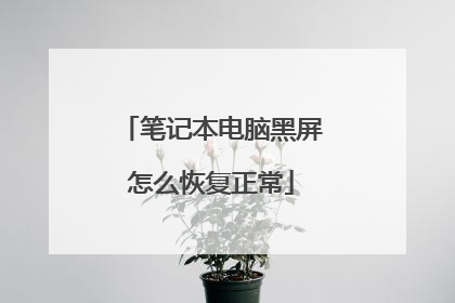 笔记本电脑黑屏怎么恢复正常
