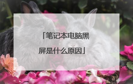 笔记本电脑黑屏是什么原因