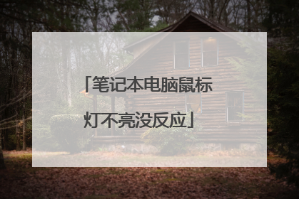 笔记本电脑鼠标灯不亮没反应
