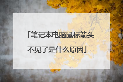 笔记本电脑鼠标箭头不见了是什么原因