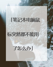 笔记本电脑鼠标突然都不能用了怎么办