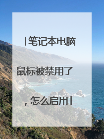 笔记本电脑鼠标被禁用了，怎么启用