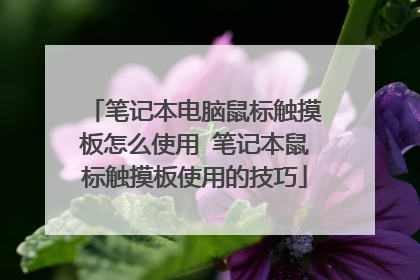 笔记本电脑鼠标触摸板怎么使用 笔记本鼠标触摸板使用的技巧