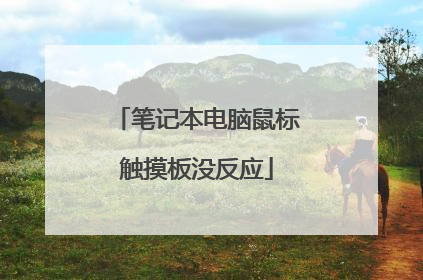 笔记本电脑鼠标触摸板没反应