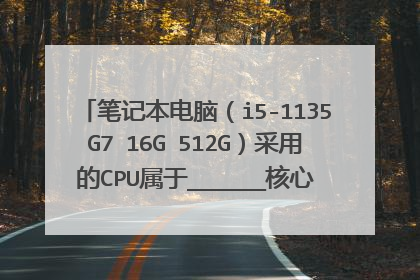 笔记本电脑(i5-1135G7 16G 512G)采用的CPU属于______核心?不是icelake吗