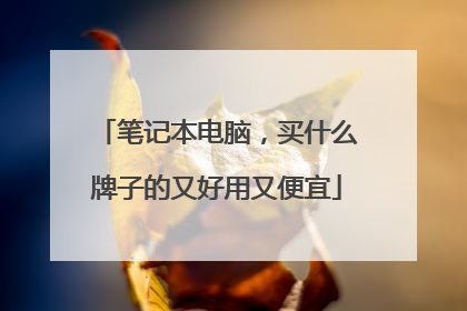 笔记本电脑,买什么牌子的又好用又便宜