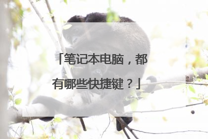 笔记本电脑，都有哪些快捷键？