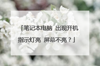 笔记本电脑 出现开机指示灯亮 屏幕不亮?
