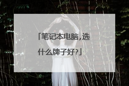 笔记本电脑,选什么牌子好?