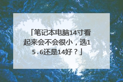 笔记本电脑14寸看起来会不会很小，选15.6还是14好？