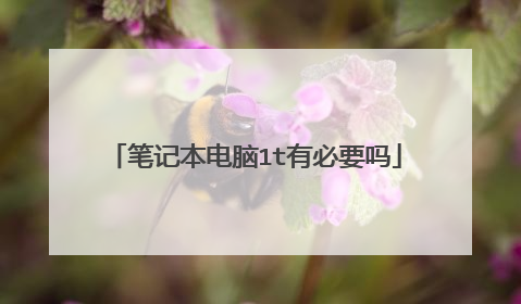 笔记本电脑1t有必要吗