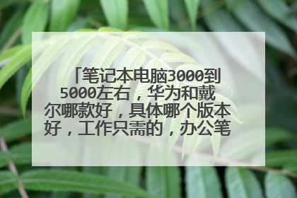 笔记本电脑3000到5000左右,华为和戴尔哪款好,具体哪个版本好,工作只需的,办公笔记本,不卡?
