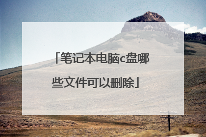 笔记本电脑c盘哪些文件可以删除