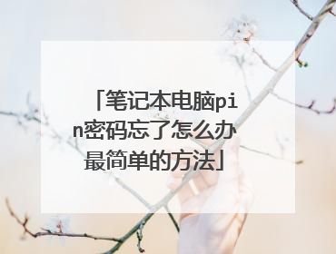 笔记本电脑pin密码忘了怎么办最简单的方法