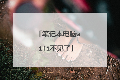 笔记本电脑wifi不见了