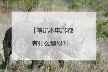 笔记本电芯都有什么型号?